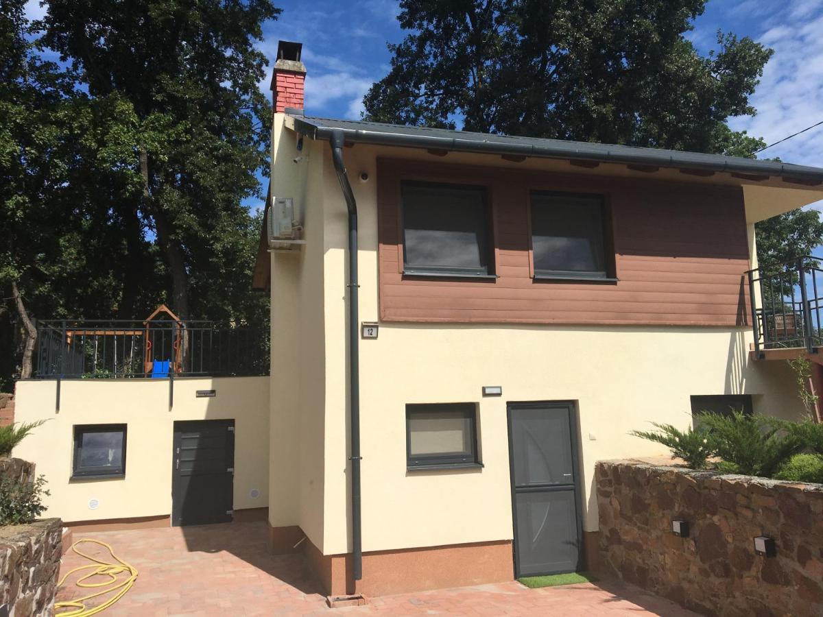 Balaton Wellness Tom Cat Nyaralo 1 Wellness Es 1 Gyermekbarat Apartmannal Kovagoors Buitenkant foto