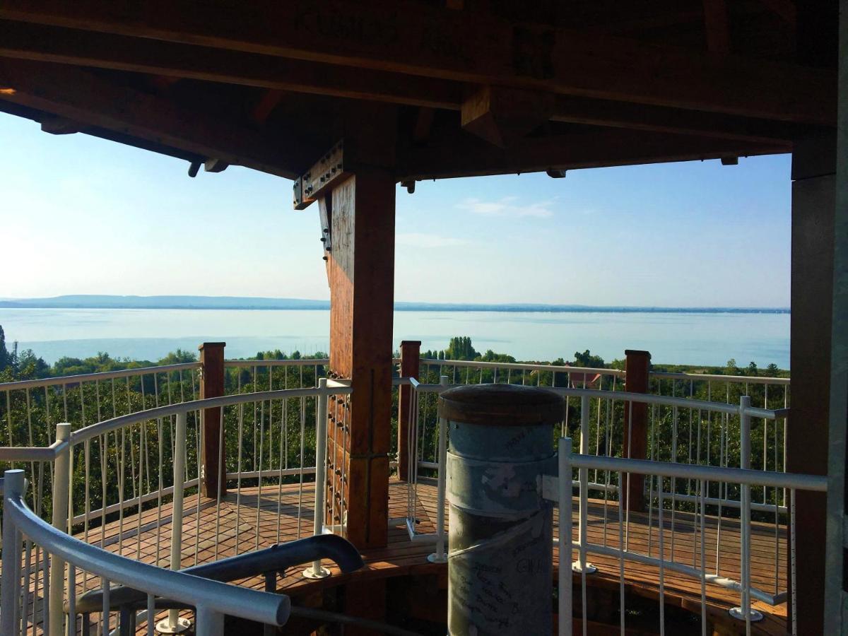 Balaton Wellness Tom Cat Nyaralo 1 Wellness Es 1 Gyermekbarat Apartmannal Kovagoors Buitenkant foto